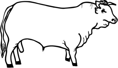 COW001