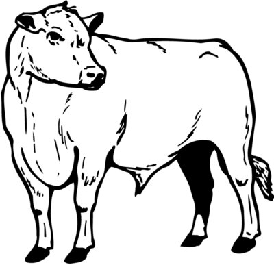 COW013