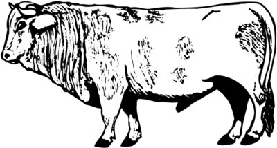 COW014