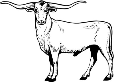 COW016