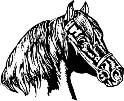 HORSE002