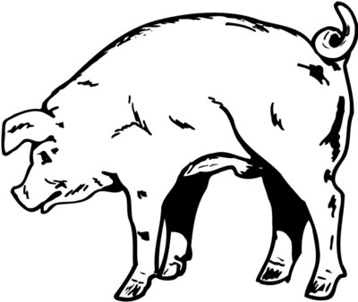 PIG0002