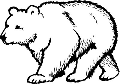 BEAR017