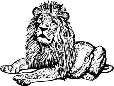 LION004